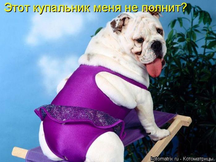 4743317_dv (700x524, 54Kb)