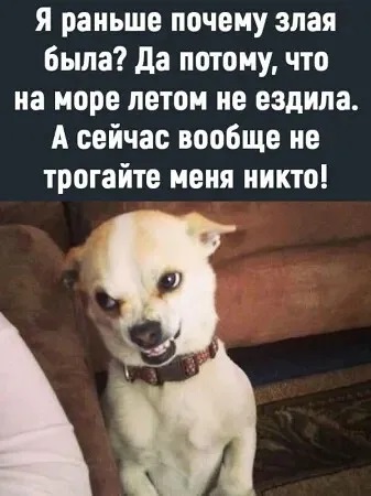 4743317_i_69 (337x450, 50Kb)