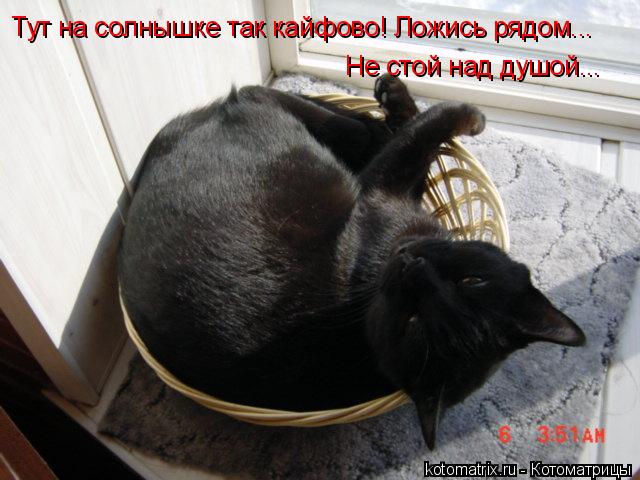 4743317_Tc (640x480, 53Kb)