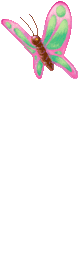 1034_babochkiz.narod.ru (80x271, 38Kb)