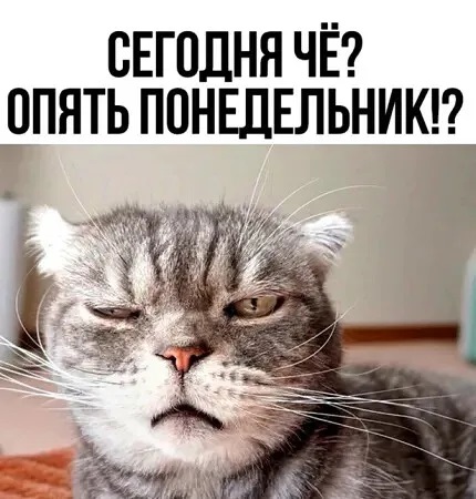 4743317_i_3_1_ (430x450, 71Kb)