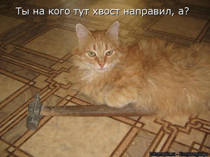 4743317_p_1 (700x524, 51Kb)