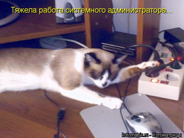 4743317_g (640x480, 46Kb)