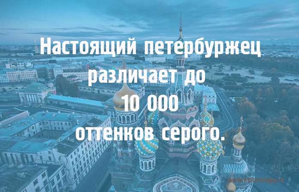 3109898__Piter_ottenki (600x386, 72Kb)