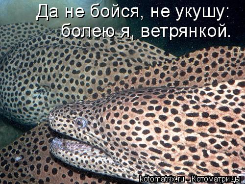 4743317_6G (500x375, 62Kb)