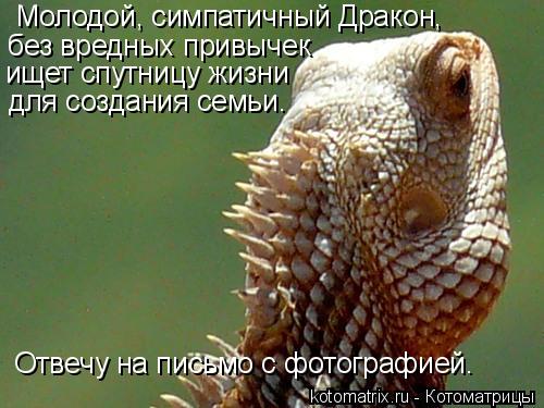 4743317_n (500x375, 42Kb)