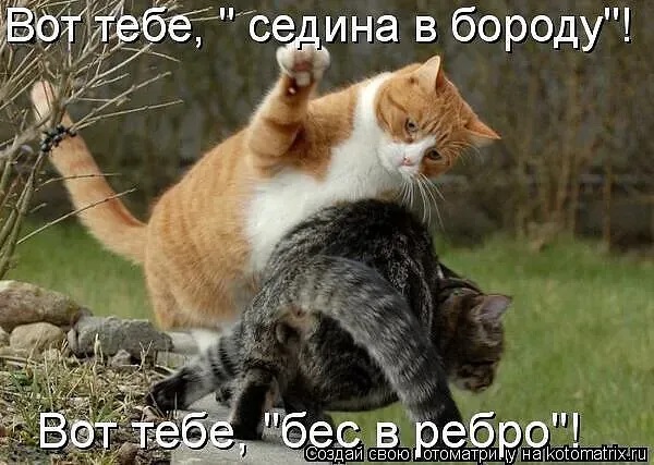 4743317_i_6 (600x427, 107Kb)