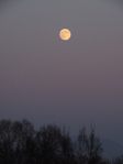  DSCN8790 (525x700, 307Kb)