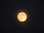  DSCN8818 (700x525, 201Kb)