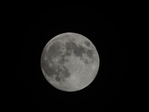  DSCN8841 (700x525, 104Kb)