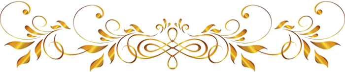 zs (700x147, 156Kb)