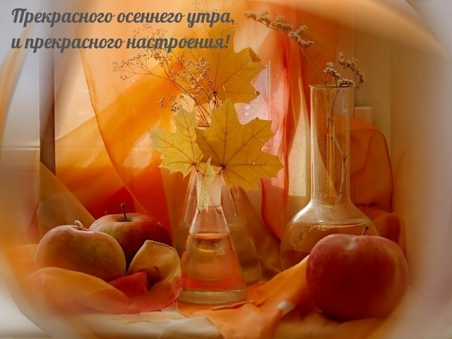 4743317_image20201010_07_26_24 (640x480, 63Kb)