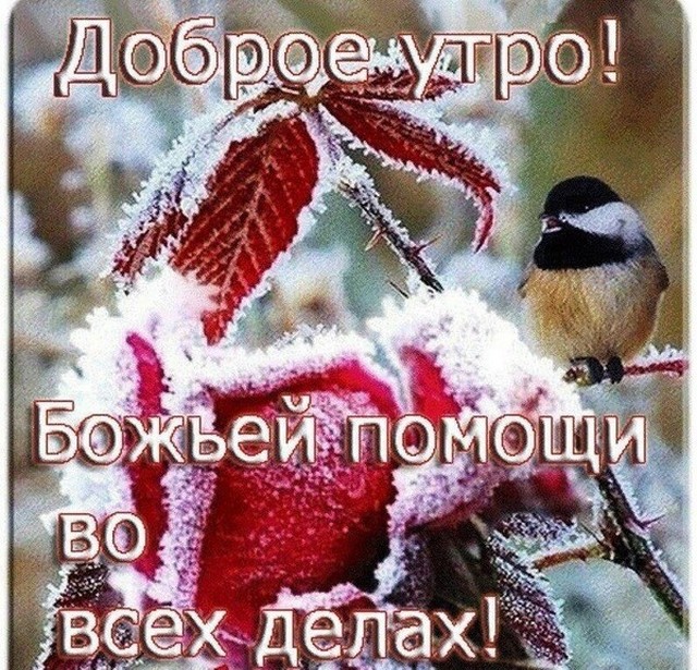 4743317_i39527 (640x615, 173Kb)