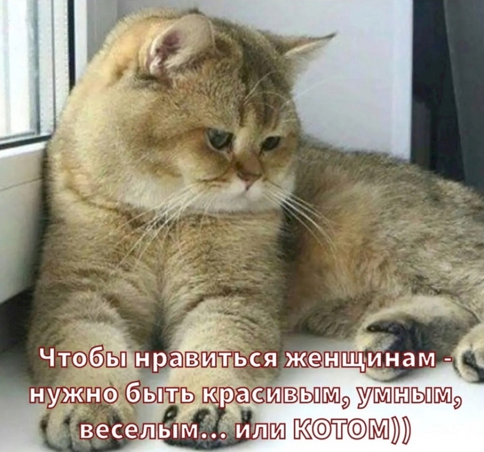 4743317_cb310f2d (700x654, 279Kb)