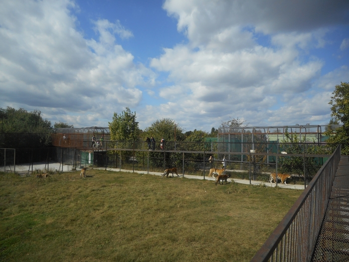 4752699_DSCN0165 (700x525, 268Kb)