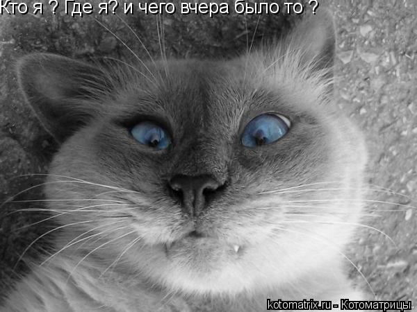 4743317_Yd (600x450, 46Kb)
