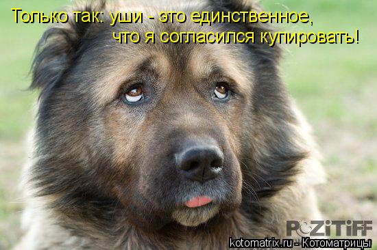 4743317_Tp (550x366, 43Kb)
