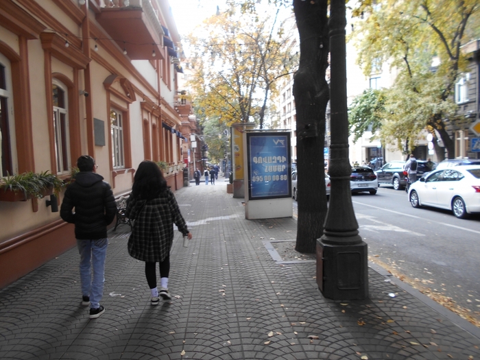 4878453_DSCN8602er (700x525, 295Kb)