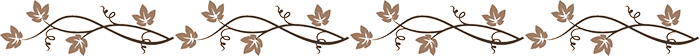 zox (700x56, 22Kb)