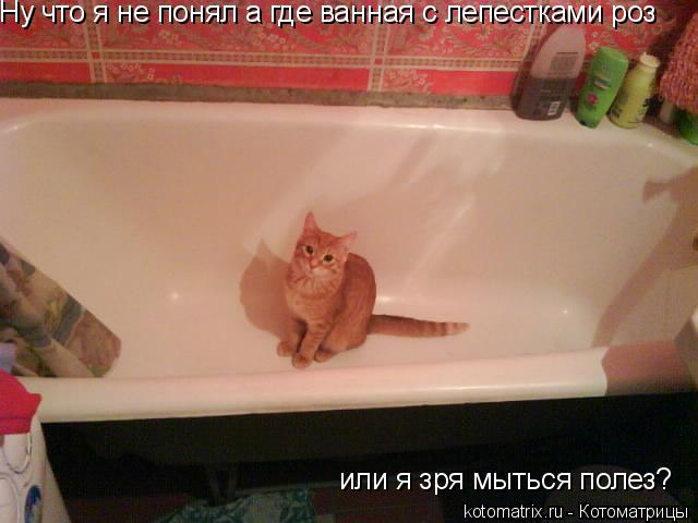 4743317_3B (640x480, 36Kb)