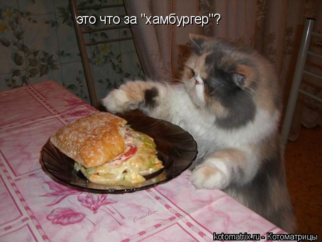 4743317_OD (640x480, 42Kb)