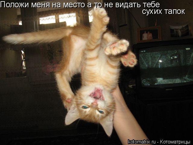 4743317_ow (640x480, 40Kb)