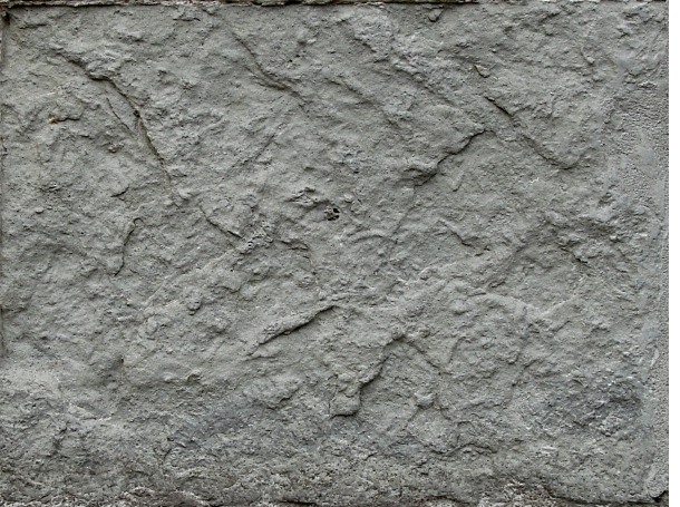 7290692_DSC06937_7_1 (610x455, 134Kb)