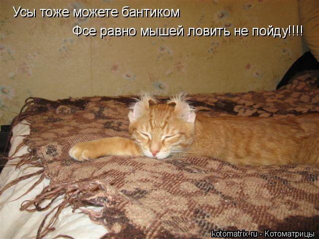 4743317_d1 (640x480, 58Kb)