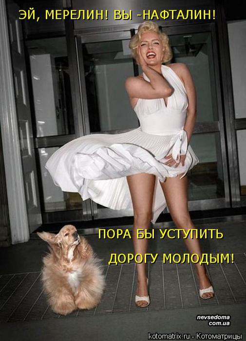 4743317_fa (505x700, 54Kb)