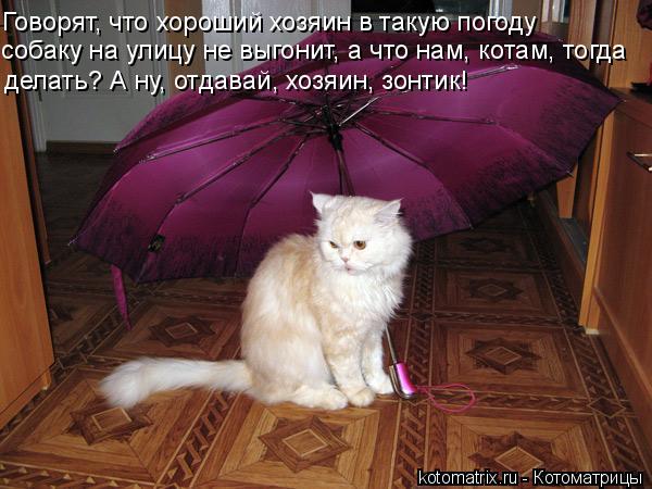 4743317_V9 (600x450, 52Kb)