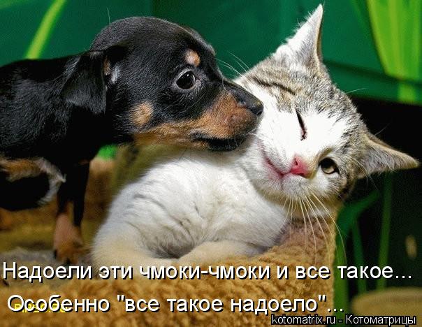 4743317_nL (604x468, 59Kb)
