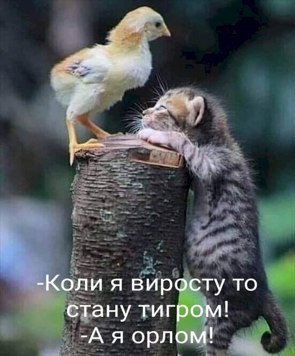 4743317_a0c77b6c (581x700, 85Kb)
