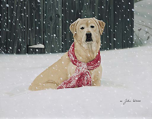 Cold-Nose-Warm-Heart-John-Weiss (513x400, 135Kb)