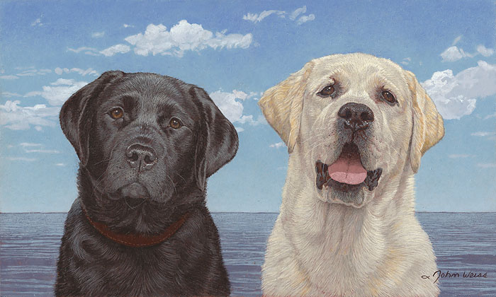Ebony-and-Ivory-John-Weiss (700x420, 180Kb)