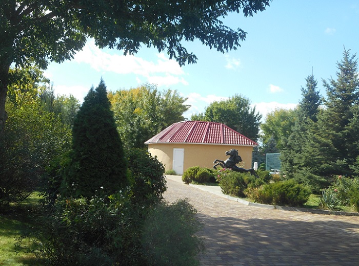 4752699_DSCN0291taak (700x520, 167Kb)