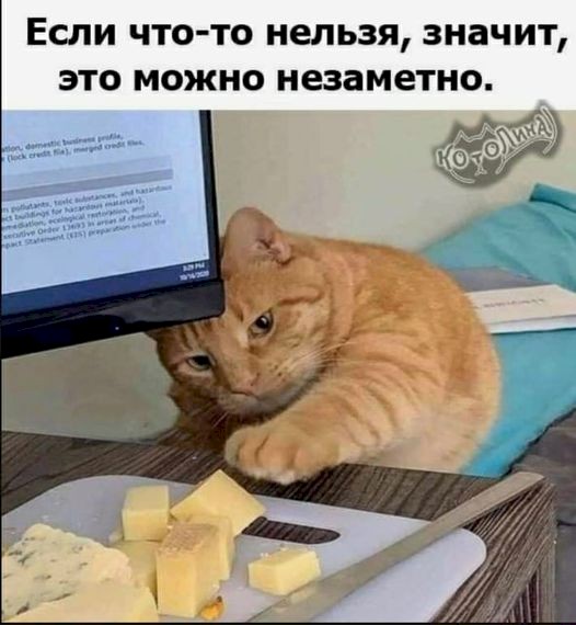 4743317_5fb238b5 (526x570, 54Kb)