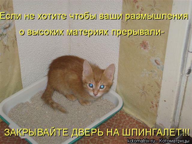 4743317_cg (640x480, 59Kb)