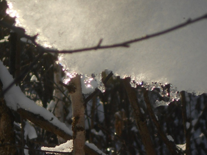 4533467_DSCN6694 (700x524, 95Kb)