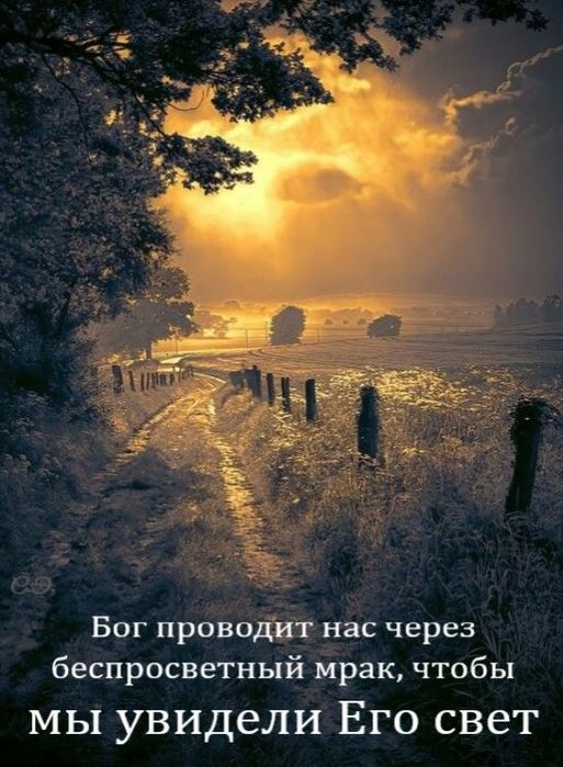 77 (513x700, 74Kb)