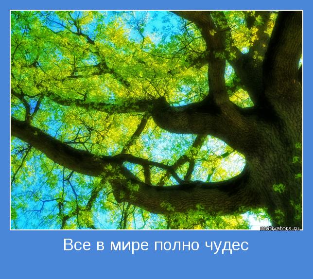 4743317_motivator8368 (644x574, 86Kb)