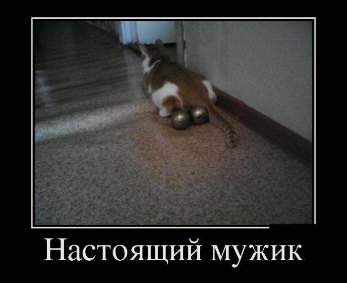 4743317_1441602077_22 (700x572, 31Kb)