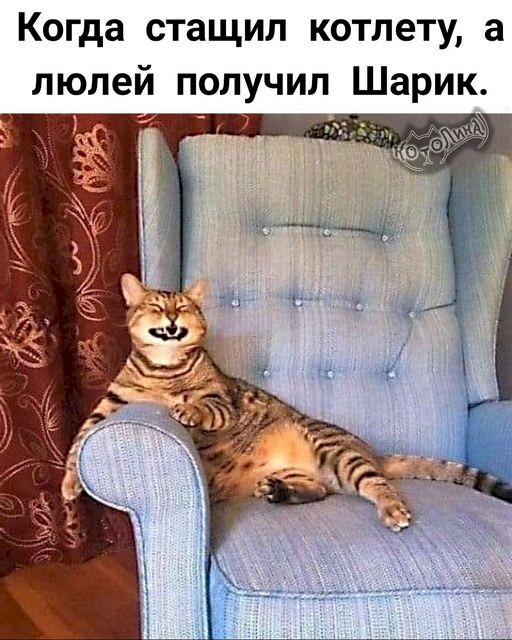 4743317_b0a2f5dc (512x640, 86Kb)