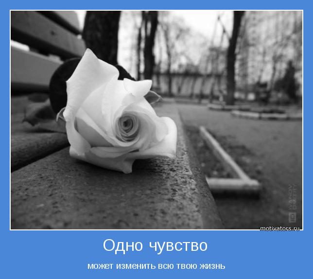 4743317_motivator57042 (644x574, 39Kb)