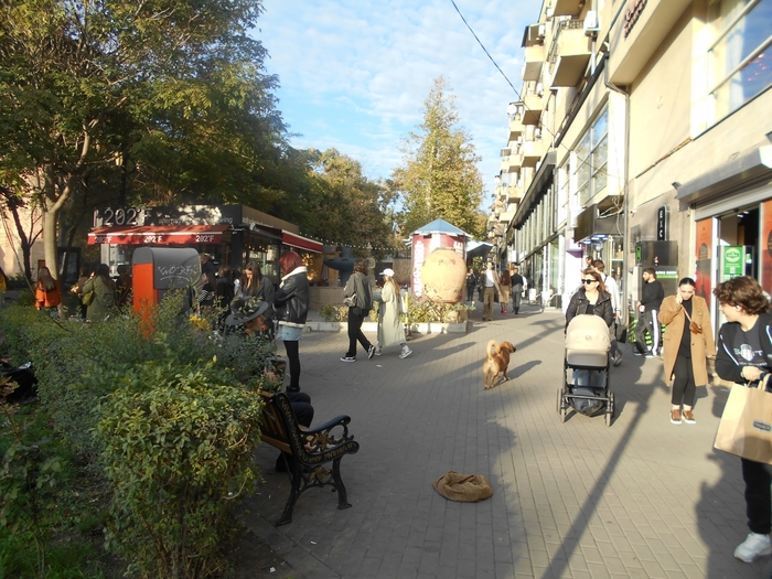 4878453_DSCN0104abov (700x525, 328Kb)