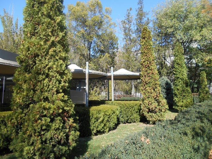 4878453_DSCN0329grin (700x525, 401Kb)