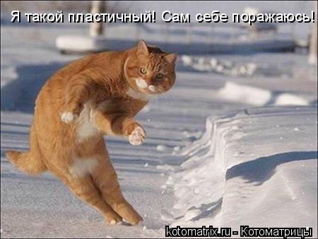 4743317_2_ (450x338, 27Kb)