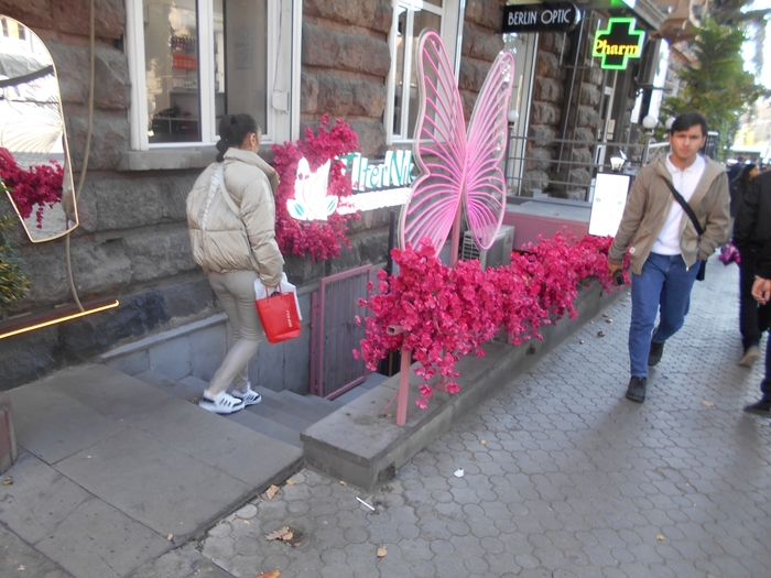 4878453_DSCN0338abo (700x525, 291Kb)