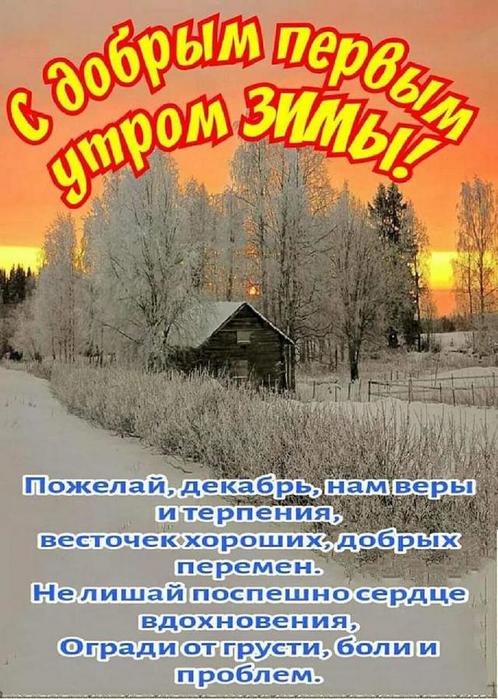4743317_image20211202_10_27_19 (498x700, 81Kb)