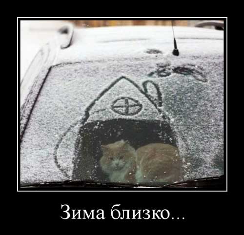 4743317_demyprozimu03 (500x482, 30Kb)