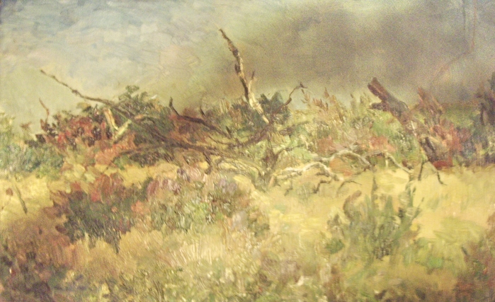 4069154_109 (700x427, 250Kb)